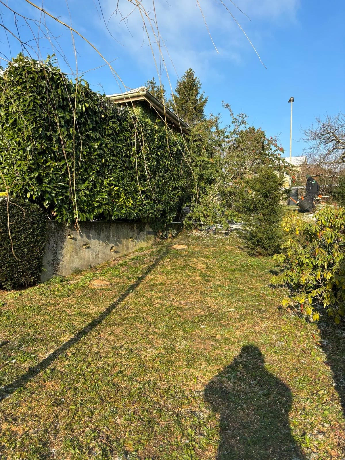 Après